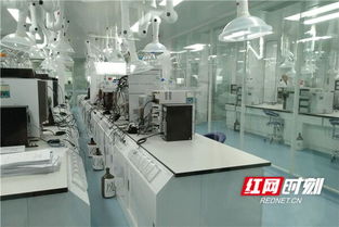 高質量發展看山東丨臨沂 電商與傳統產業共探新技術開發之路